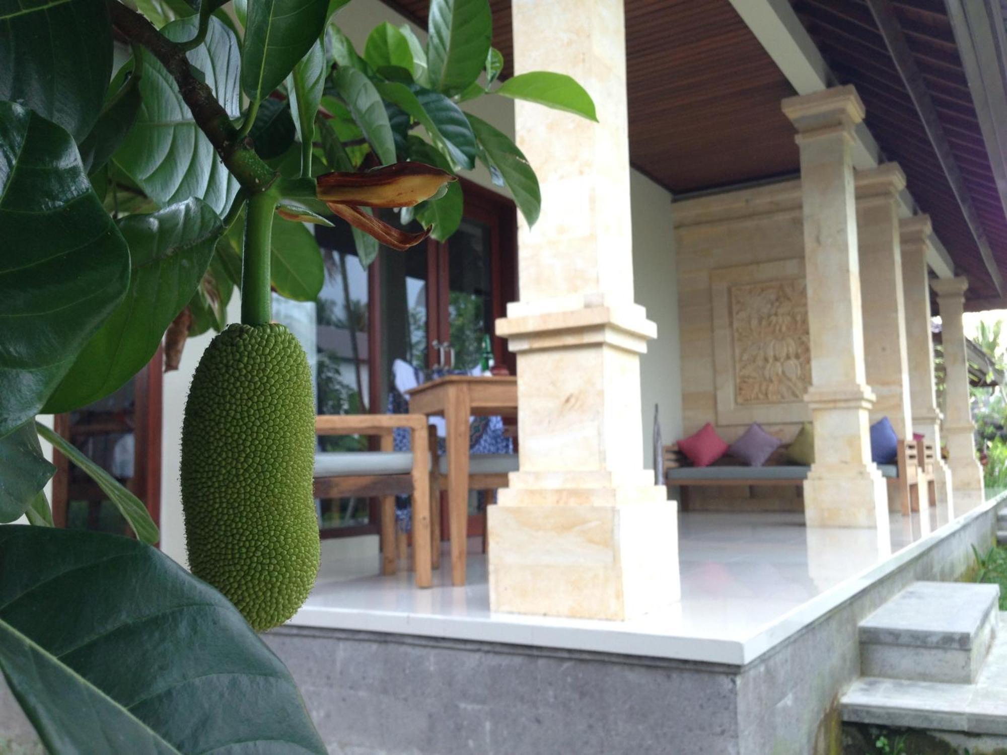 Masia Villa Ubud Esterno foto