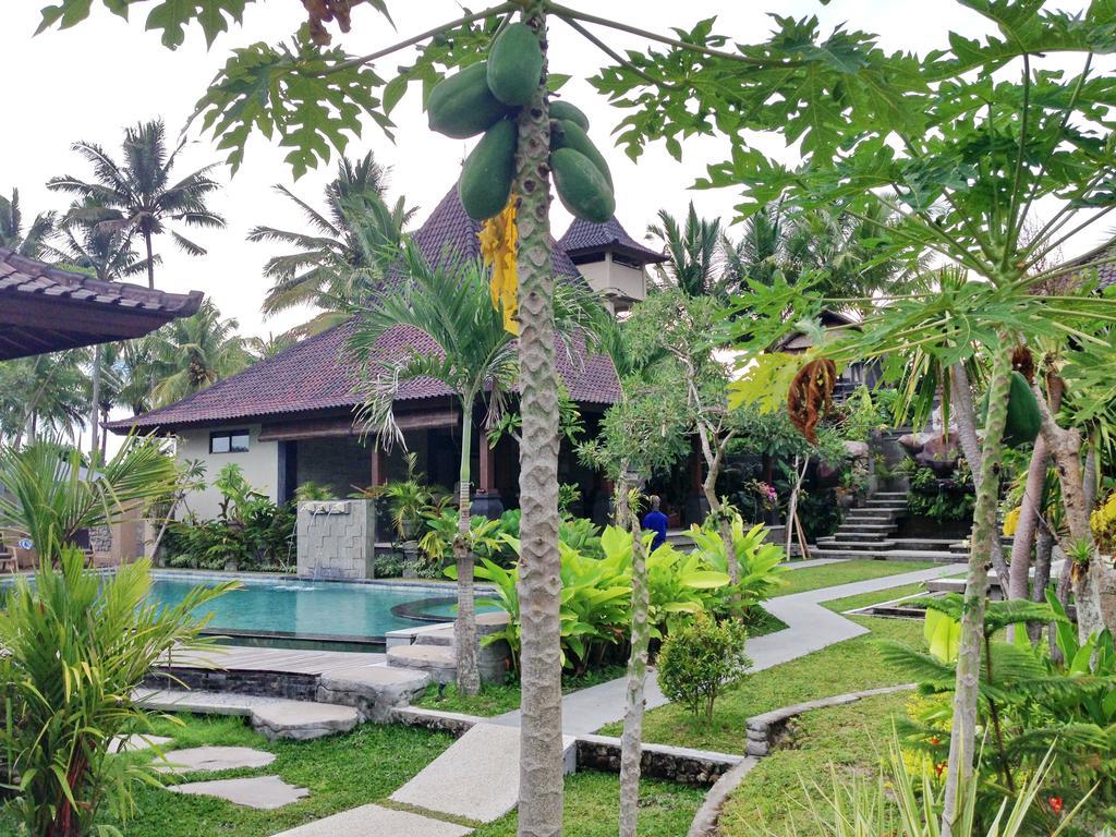 Masia Villa Ubud Esterno foto