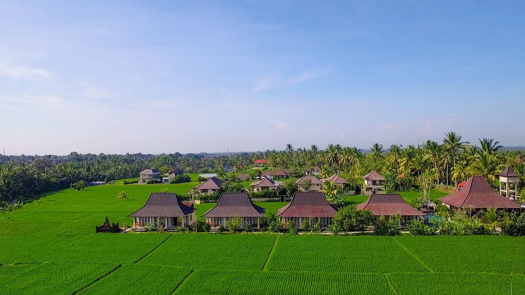 Masia Villa Ubud Esterno foto