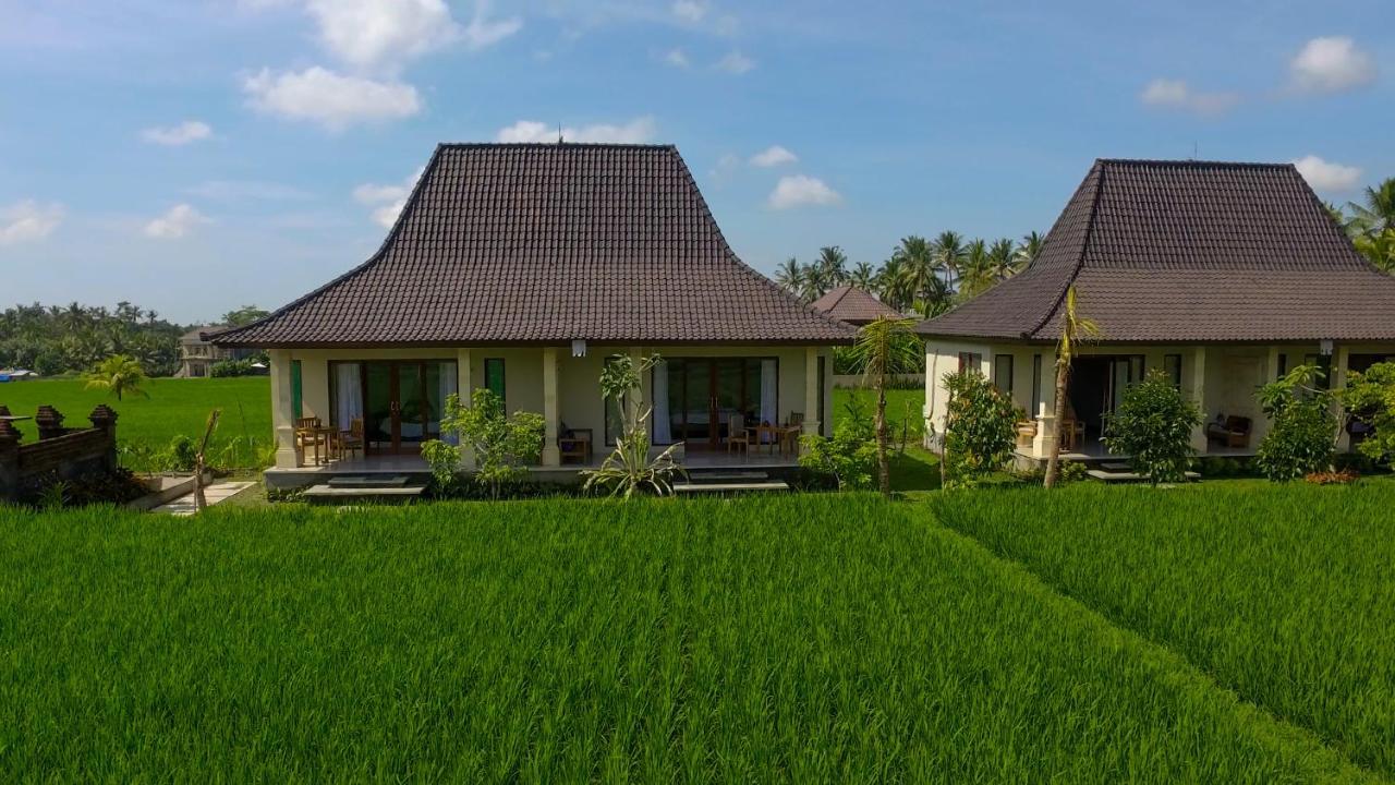 Masia Villa Ubud Esterno foto